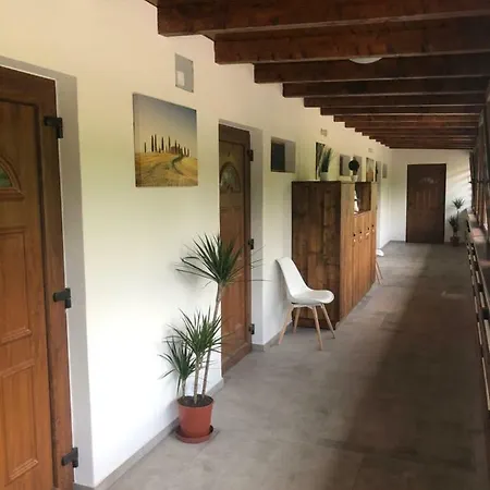 Beachfront Studio Apartman 3* Balatonfůzfő